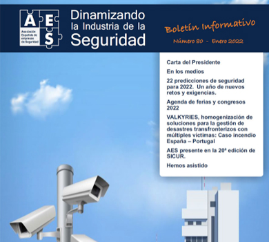 www.aesseguridad.es