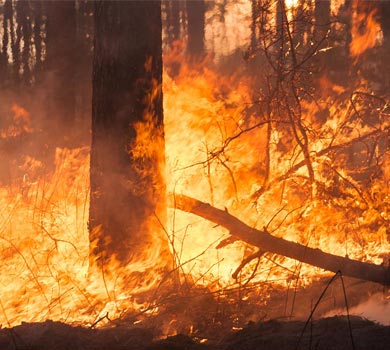 Battling wildfires from behind the scenes
