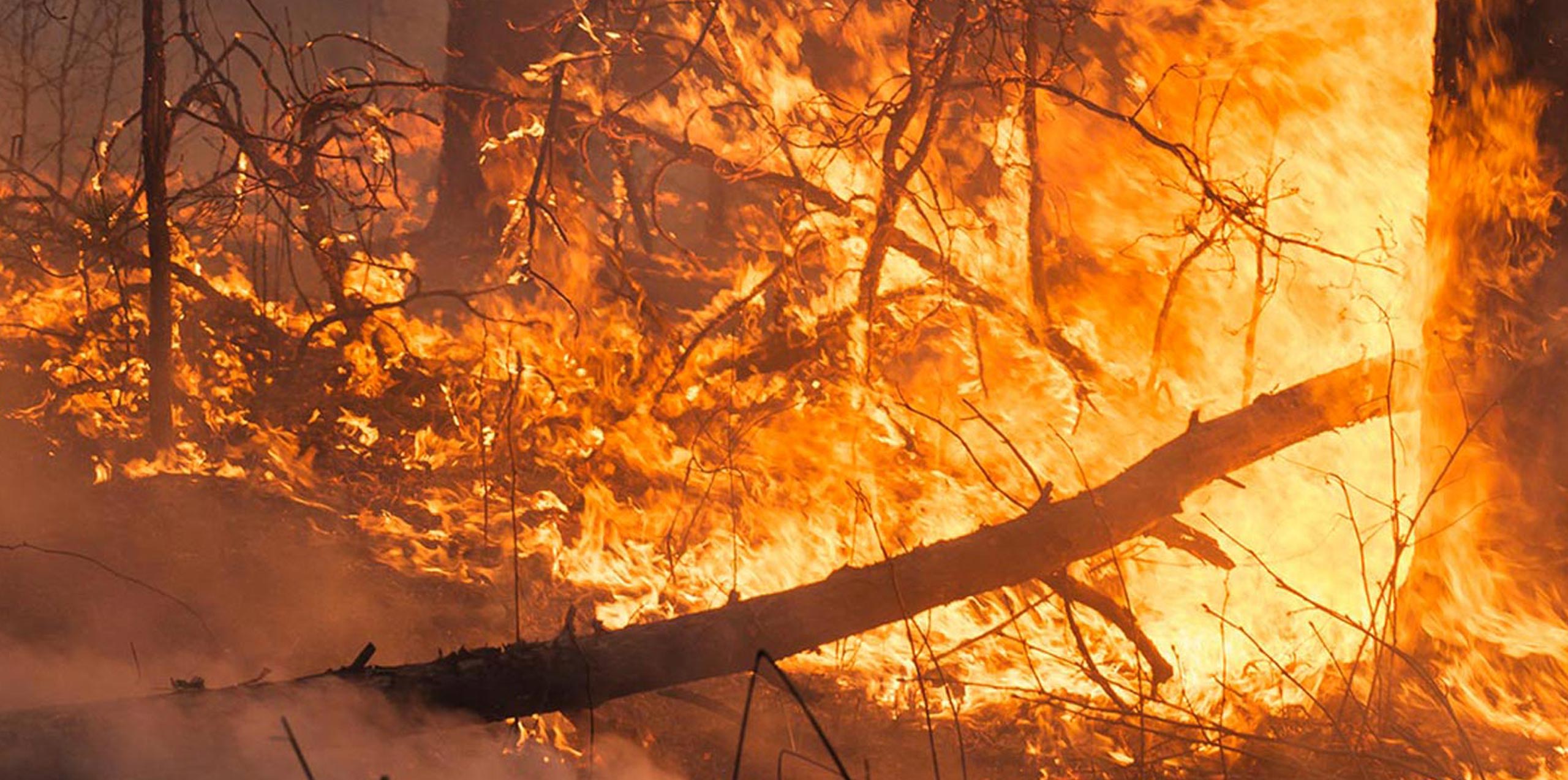 Use Case:Join cross-frontier first aid response against major fire disaster (Spain-Portugal)