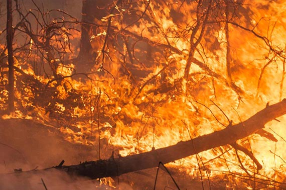 Use Case: Join cross-frontier first aid response against major fire disaster (Spain-Portugal)